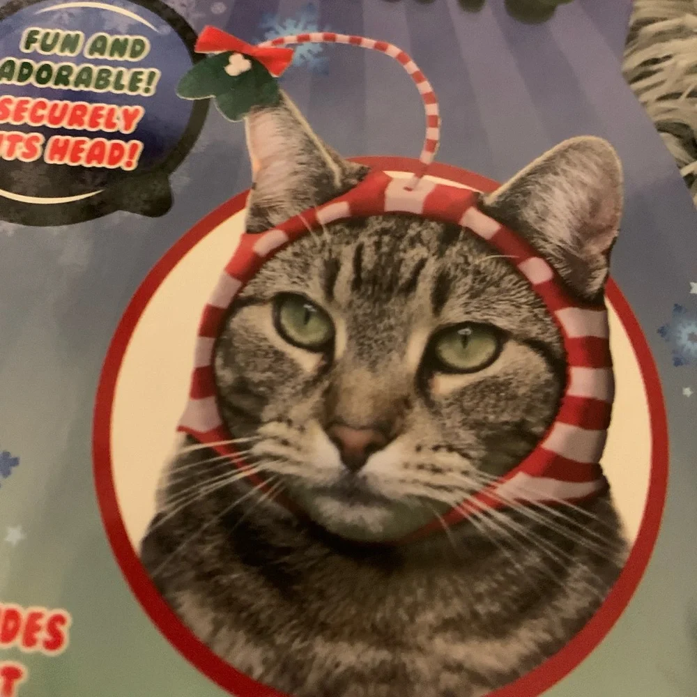 Holiday Cat Hat / Mistletoe Hat (new in box) One Size